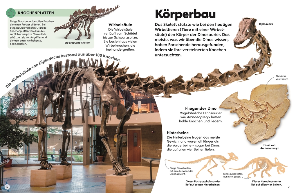 Weitere Ansicht: memo Wissen Kids. Dinosaurier