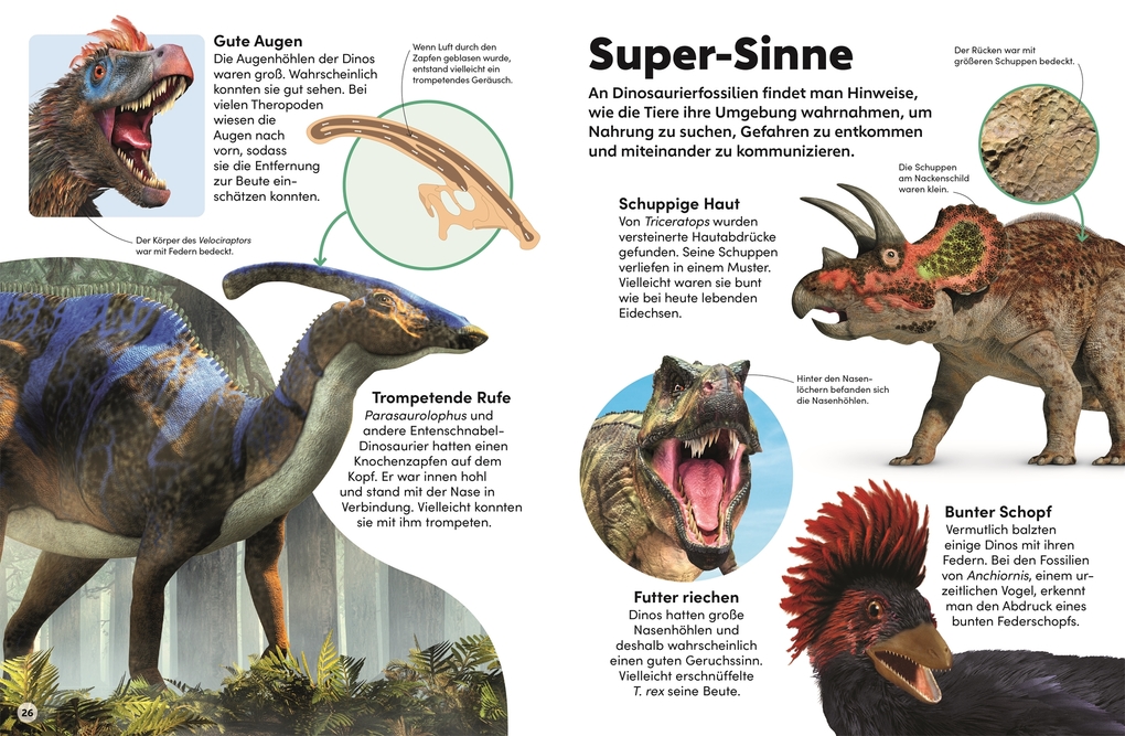 Weitere Ansicht: memo Wissen Kids. Dinosaurier