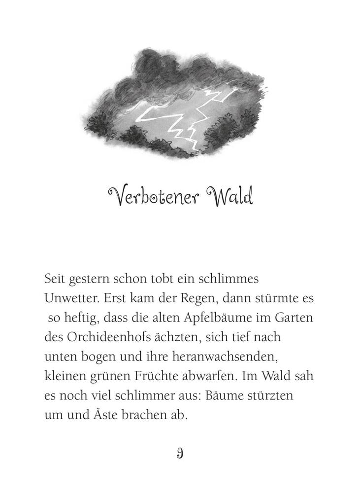 Weitere Ansicht: Ponyherz 24: Ein Fohlen sucht eine Familie | Usch Luhn