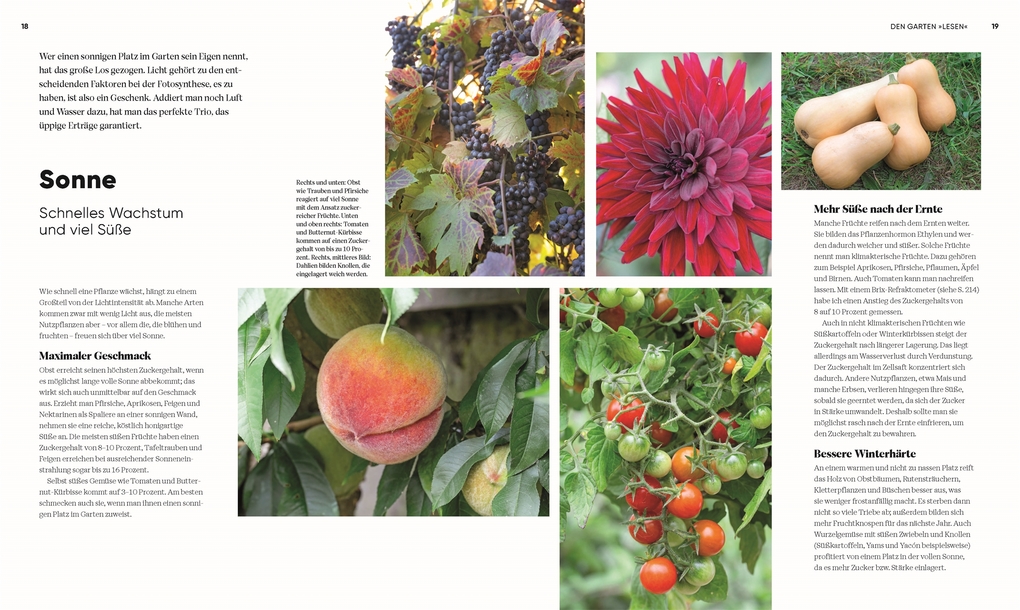 Weitere Ansicht: Hier wächst was! | Lucy Chamberlain