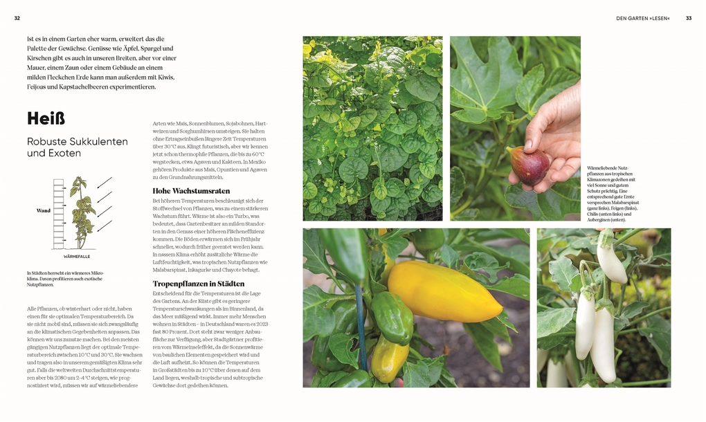 Weitere Ansicht: Hier wächst was! | Lucy Chamberlain