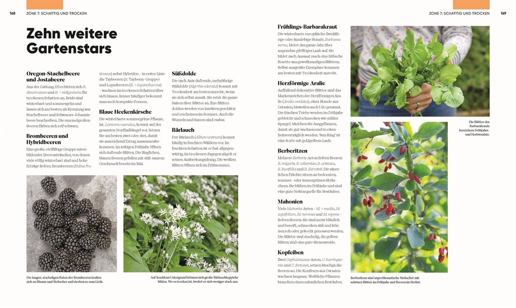 Weitere Ansicht: Hier wächst was! | Lucy Chamberlain