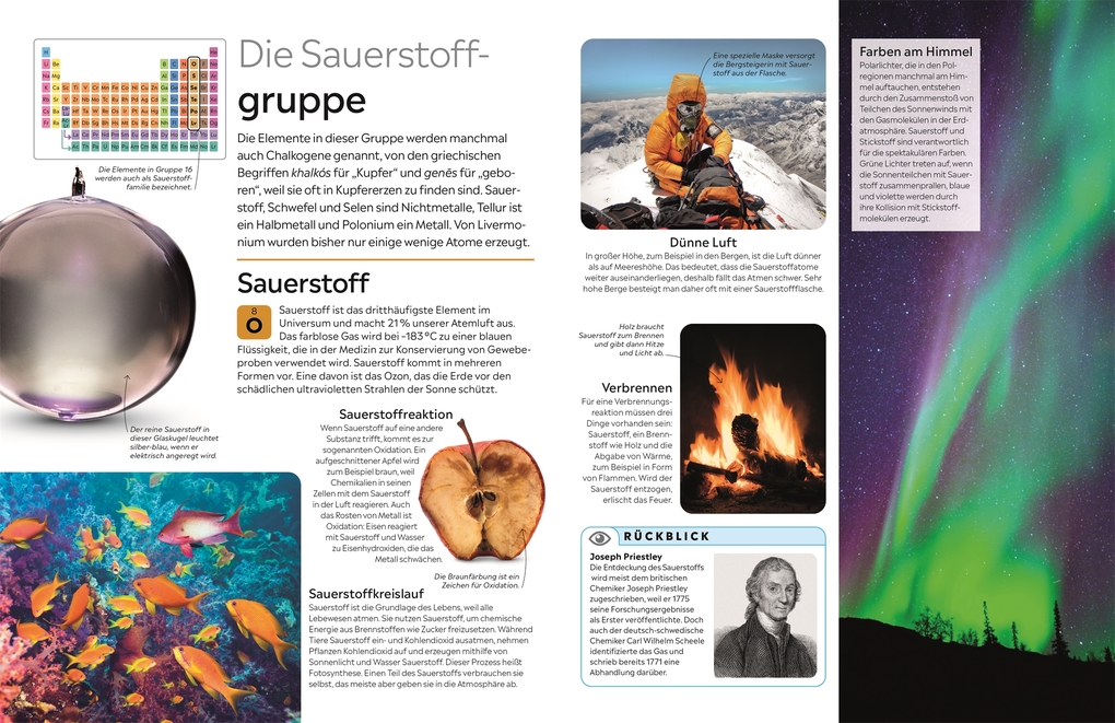 Weitere Ansicht: memo Wissen. Chemische Elemente | Adrian Dingle