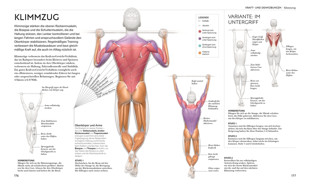 Weitere Ansicht: Radsport - die Anatomie verstehen | David Bailey