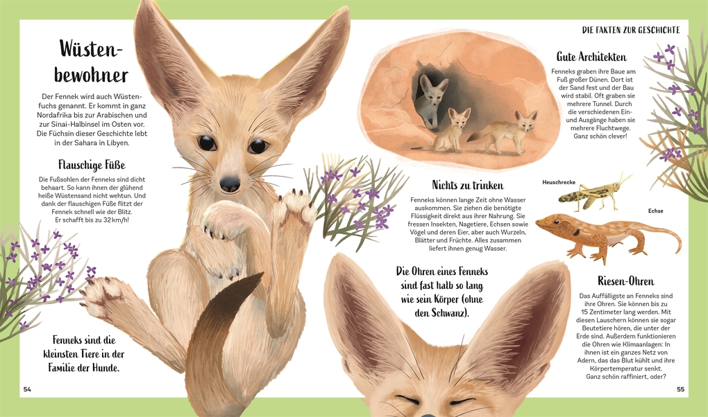 Weitere Ansicht: Tiergeschichten zum Träumen. Zauber der Nacht | Alicia Klepeis