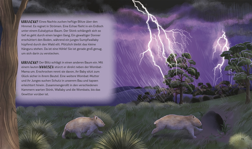 Weitere Ansicht: Tiergeschichten zum Träumen. Zauber der Nacht | Alicia Klepeis