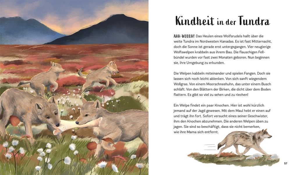 Weitere Ansicht: Tiergeschichten zum Träumen. Zauber der Nacht | Alicia Klepeis