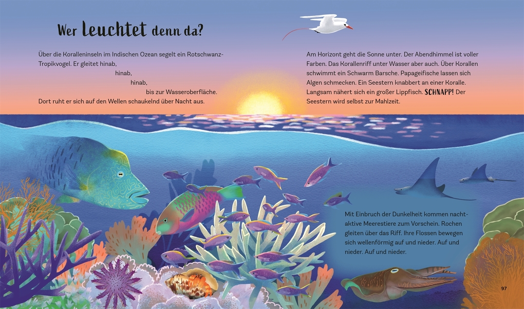 Weitere Ansicht: Tiergeschichten zum Träumen. Zauber der Nacht | Alicia Klepeis