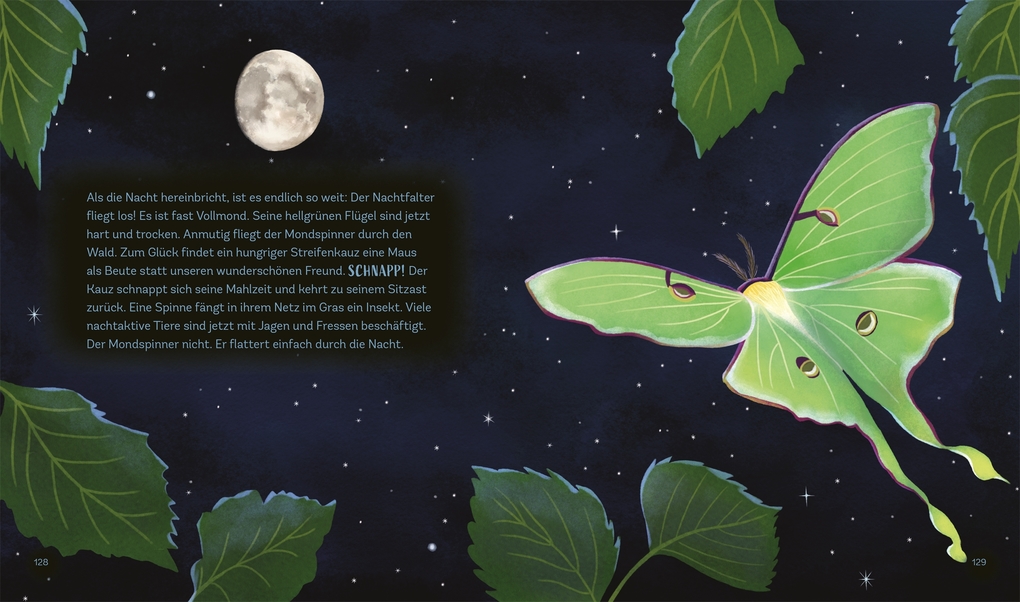 Weitere Ansicht: Tiergeschichten zum Träumen. Zauber der Nacht | Alicia Klepeis