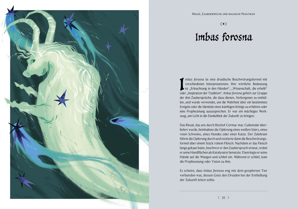 Weitere Ansicht: Kelten | Giulia Manzi