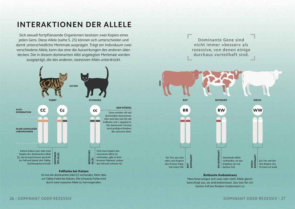 Weitere Ansicht: SIMPLY. Genetik | Derek Harvey, Jo Locke