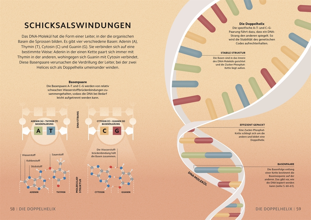 Weitere Ansicht: SIMPLY. Genetik | Derek Harvey, Jo Locke