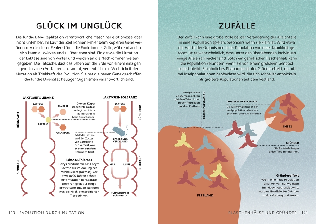 Weitere Ansicht: SIMPLY. Genetik | Derek Harvey, Jo Locke