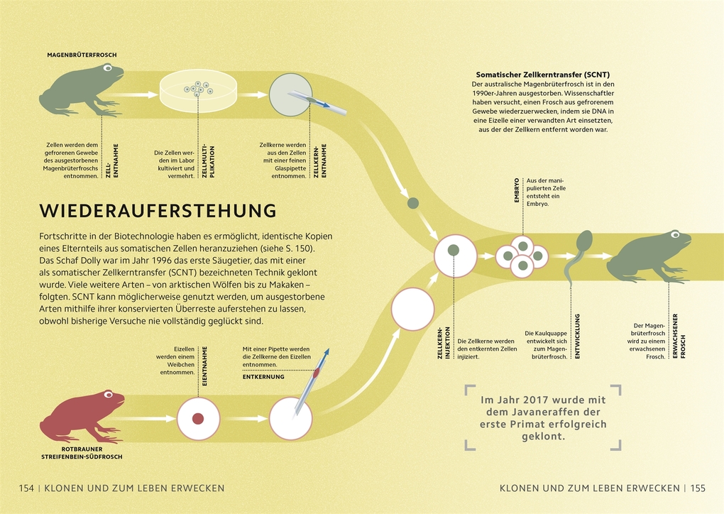 Weitere Ansicht: SIMPLY. Genetik | Derek Harvey, Jo Locke