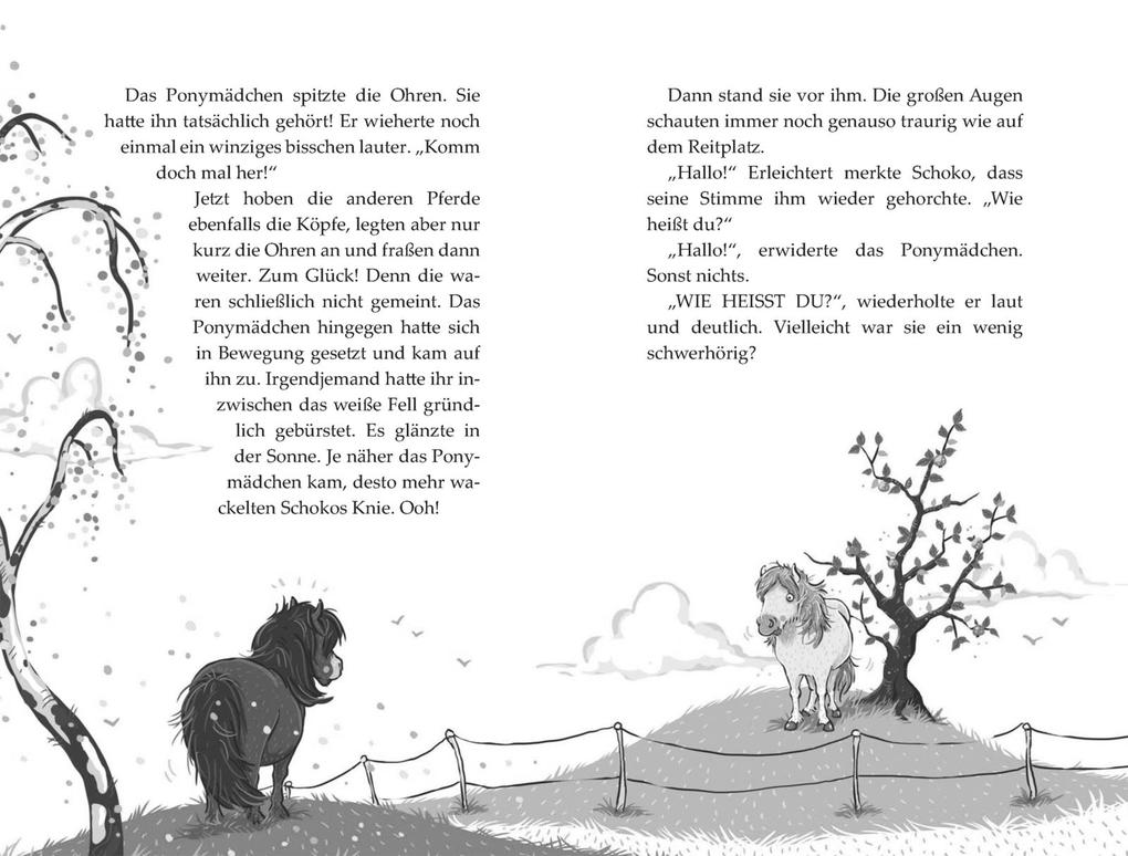 Weitere Ansicht: Die Haferhorde 4: Schmetterlinge im Ponybauch | Suza Kolb