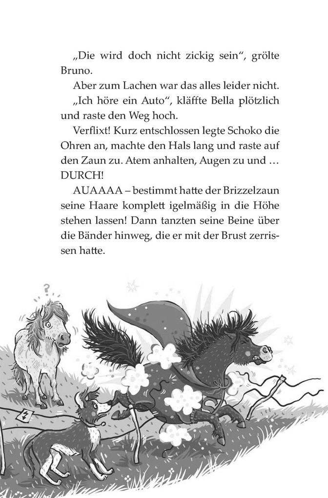 Weitere Ansicht: Die Haferhorde 4: Schmetterlinge im Ponybauch | Suza Kolb