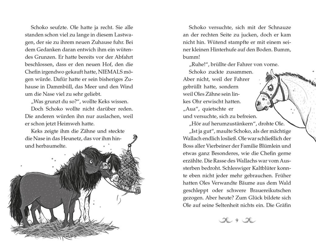 Weitere Ansicht: Die Haferhorde 1: Flausen im Schopf | Suza Kolb