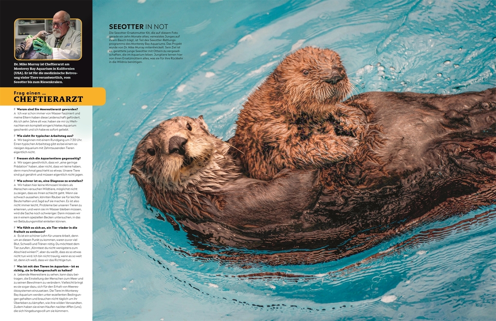 Weitere Ansicht: memo Wissen. Tiere