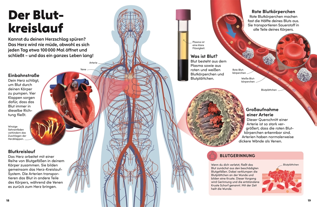 Weitere Ansicht: memo Wissen Kids. Der Körper