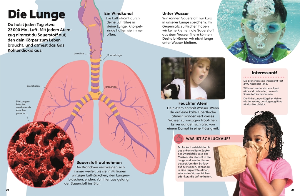 Weitere Ansicht: memo Wissen Kids. Der Körper