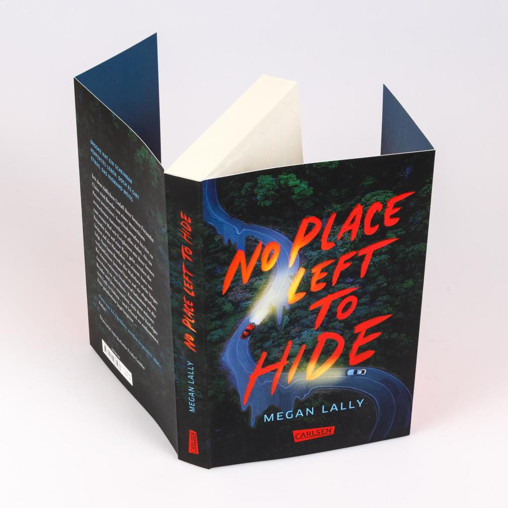 Weitere Ansicht: No Place Left to Hide | Megan Lally
