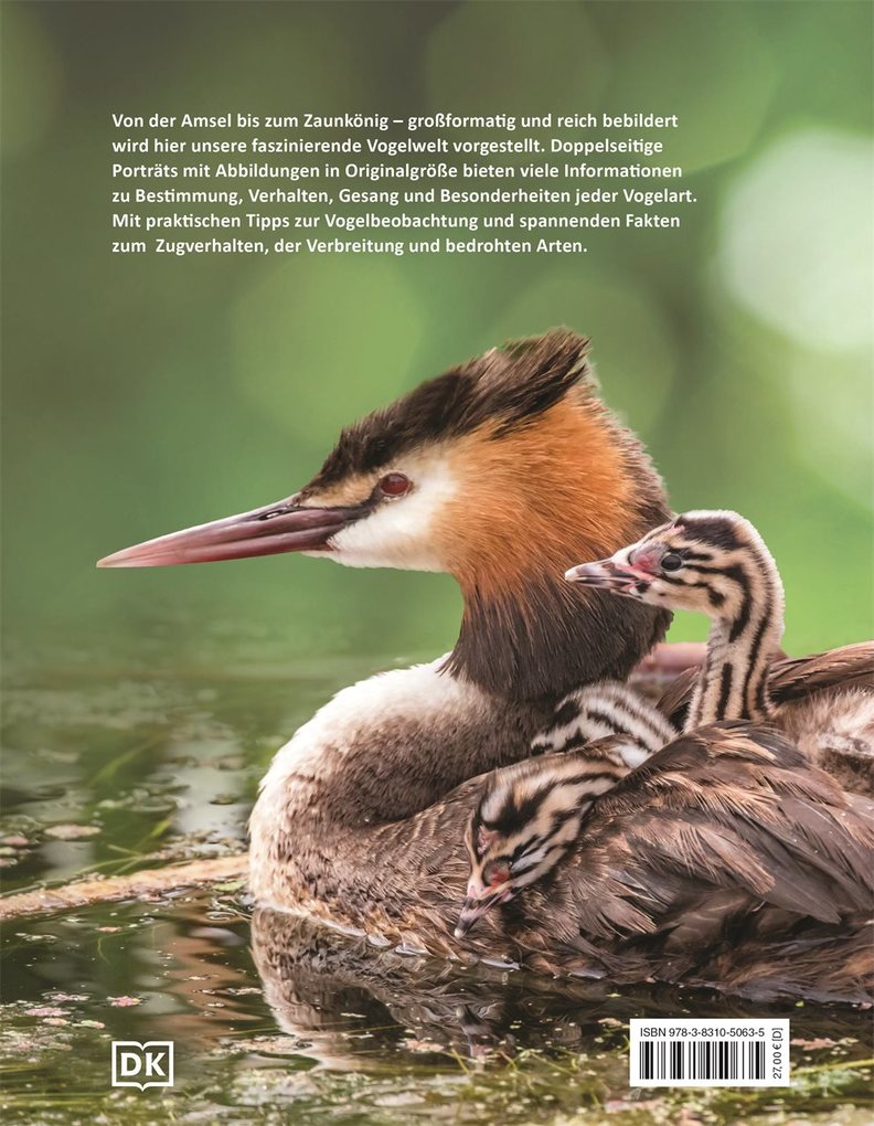 Weitere Ansicht: Heimische Vögel lebensgroß | Nancy J. Hajeski