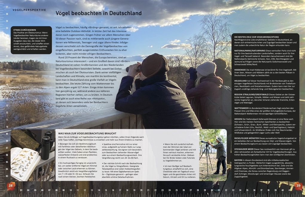 Weitere Ansicht: Heimische Vögel lebensgroß | Nancy J. Hajeski