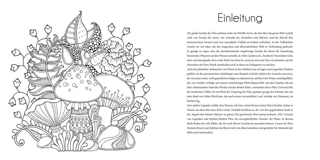 Weitere Ansicht: Faszinierende Pilze