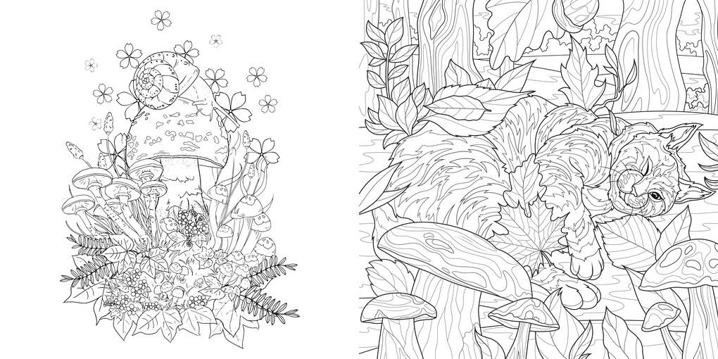 Weitere Ansicht: Faszinierende Pilze