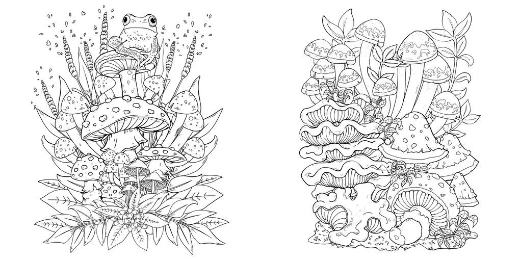 Weitere Ansicht: Faszinierende Pilze