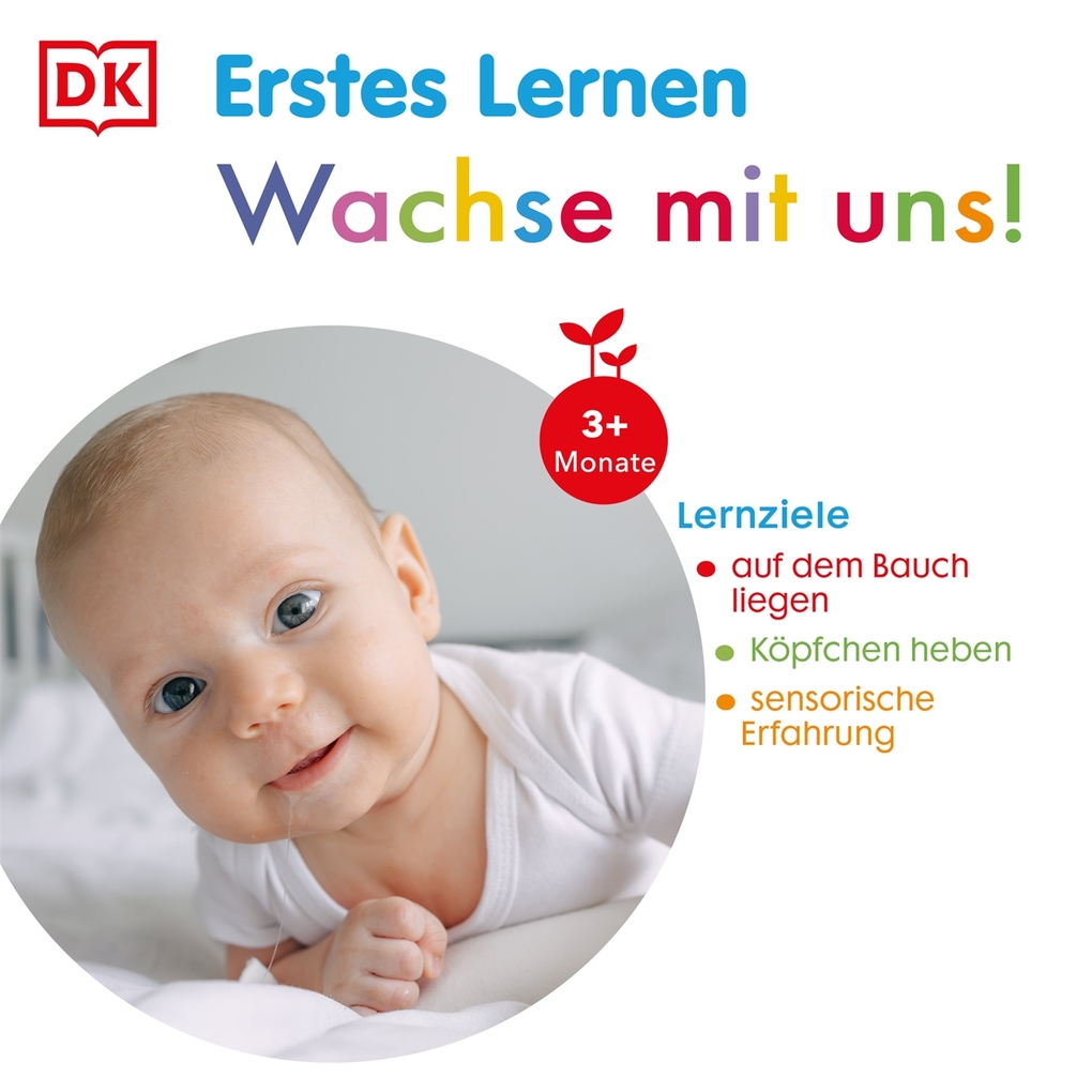 Weitere Ansicht: Erstes Lernen Fühl-Leporello. Fahrzeuge | DK Erstes Lernen