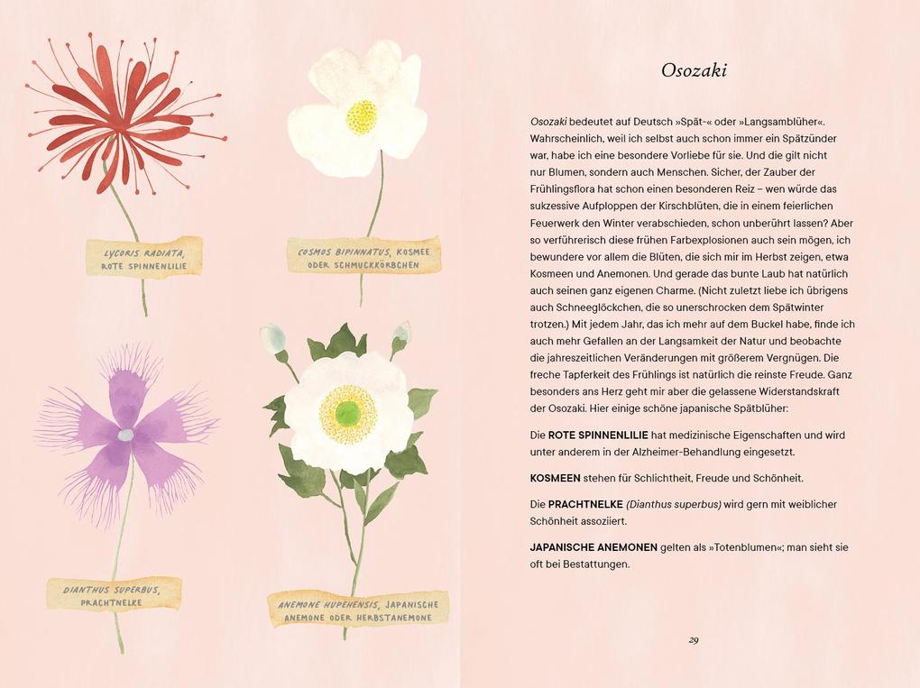 Weitere Ansicht: Shibui | Sanae Ishida