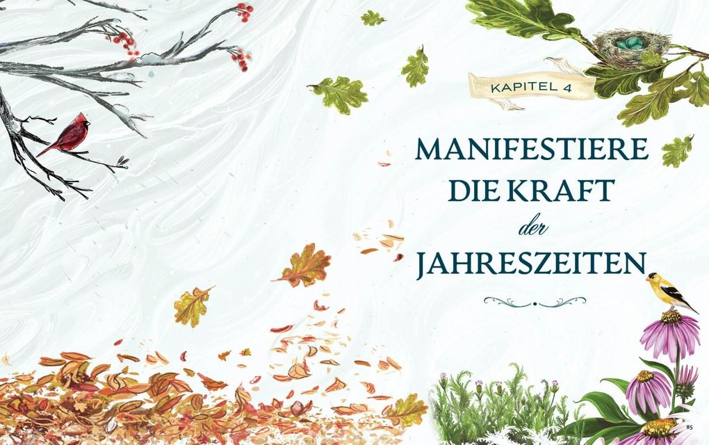Weitere Ansicht: Grüne Magie - eine illustrierte Reise | Arin Murphy-Hiscock
