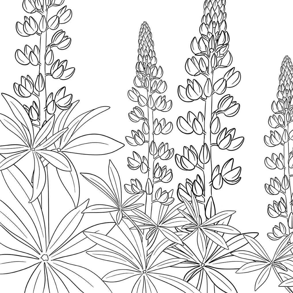 Weitere Ansicht: Colorful World - Blütentanz | Sarah Grimberger Plantsbysaevannah, Marina Zihm, Lissy Heckel, Mila Dierksen