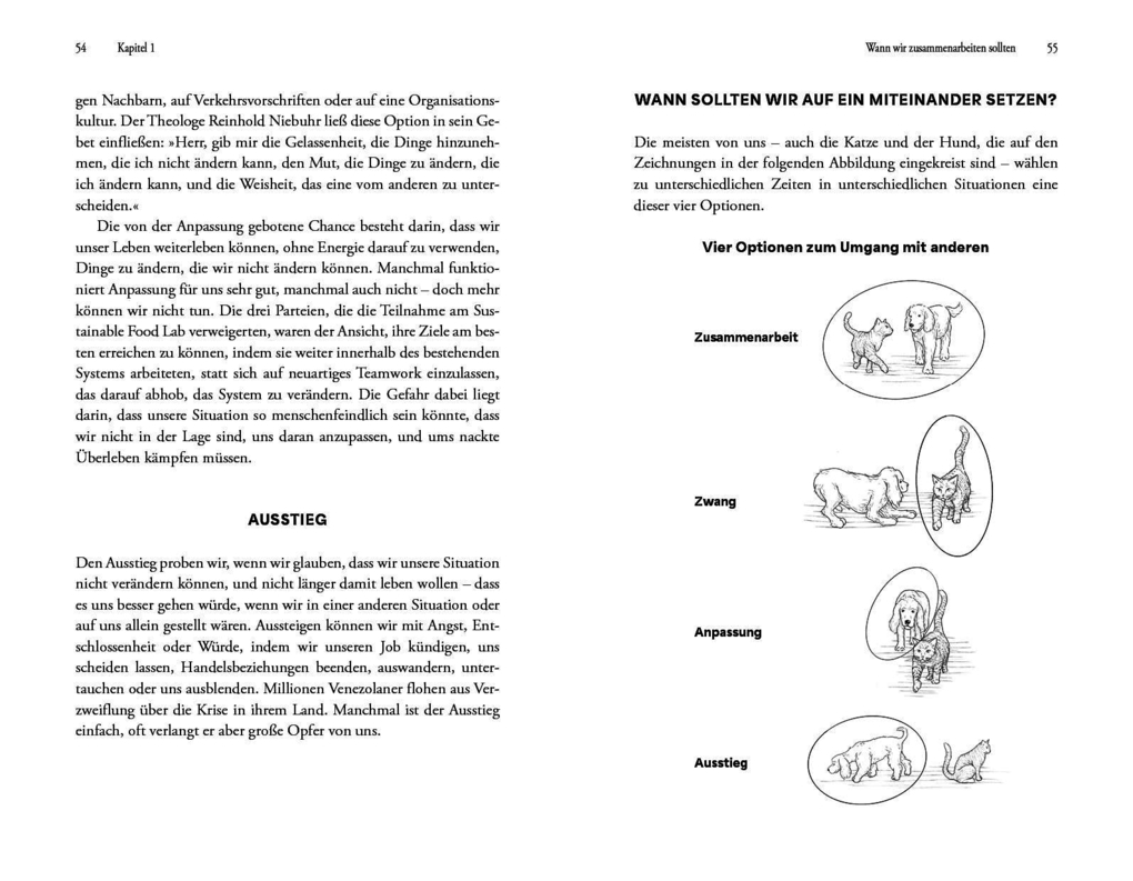Weitere Ansicht: Mit Feinden verhandeln | Adam Kahane