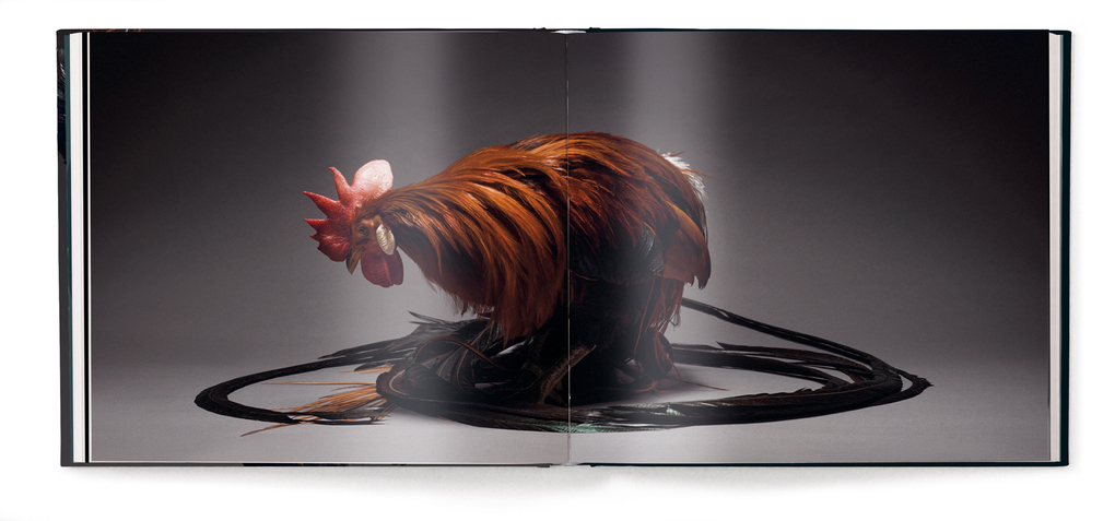 Weitere Ansicht: Gefiederte Eleganz | Moreno Monti, Matteo Tranchellini