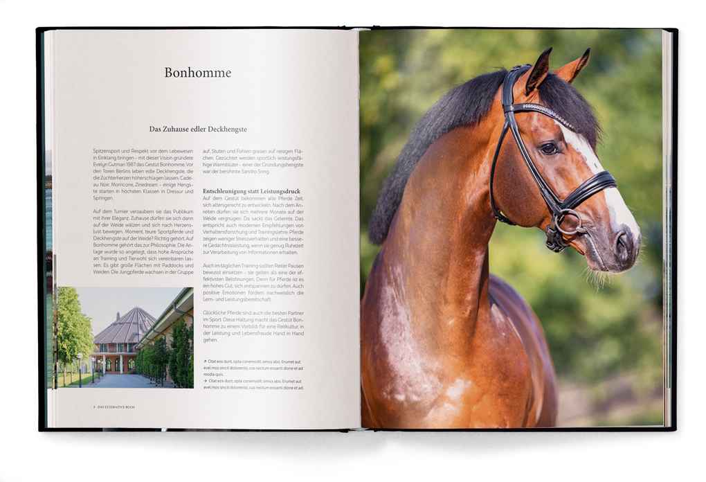 Weitere Ansicht: Reiten | Alena Brandt