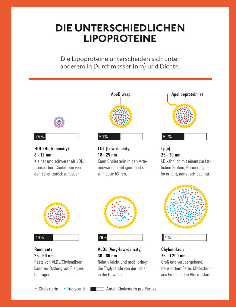 Weitere Ansicht: Runter mit dem Cholesterin | Ulrich Laufs