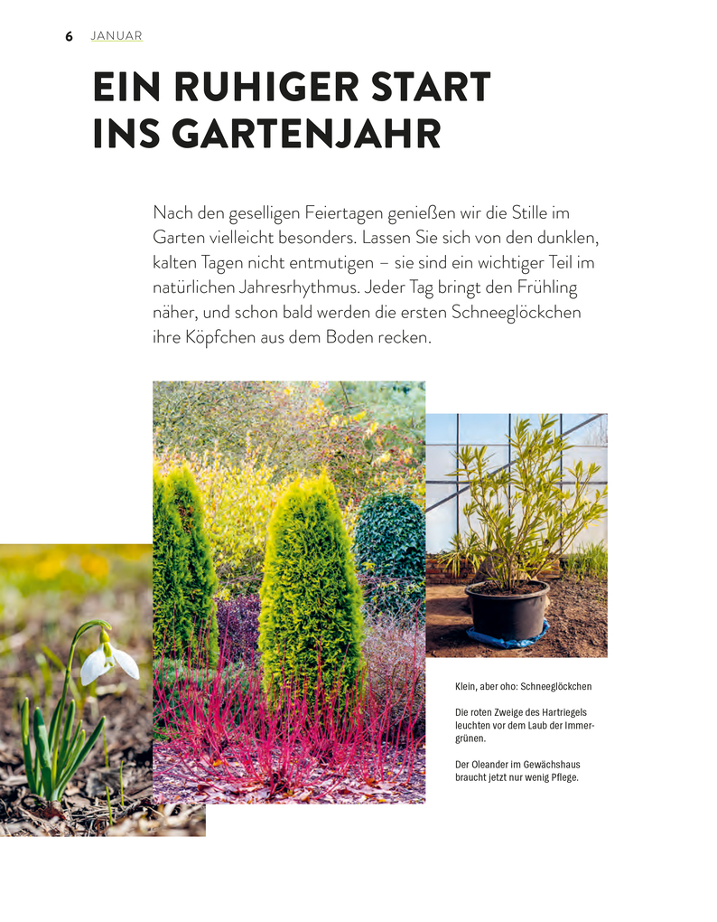 Weitere Ansicht: Das große Gartenjahr-Buch