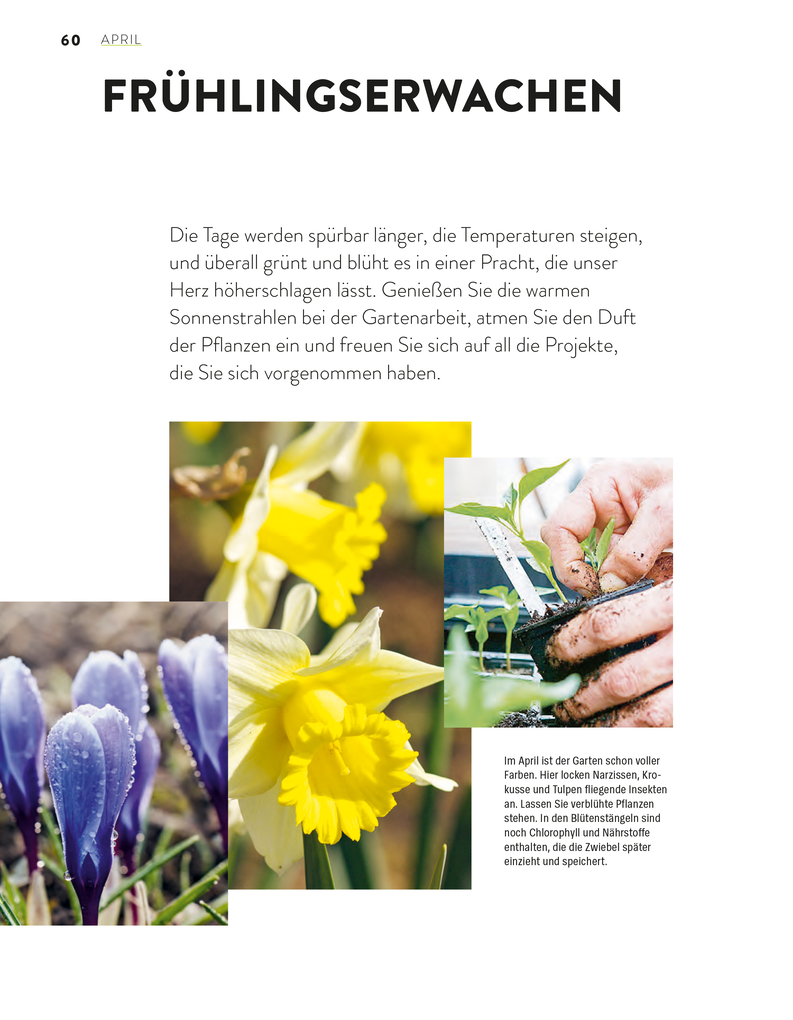 Weitere Ansicht: Das große Gartenjahr-Buch