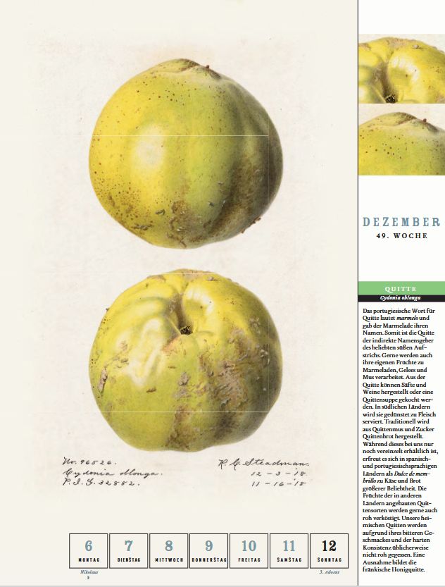 Weitere Ansicht: Thorbeckes heimisches Obst Kalender 2027