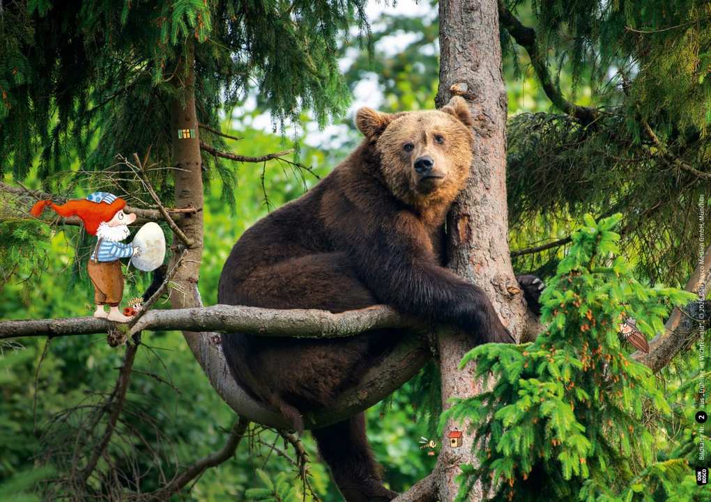 Weitere Ansicht: Frühling im Wichtelwald. Kamishibai Bildkartenset | Outi Kaden
