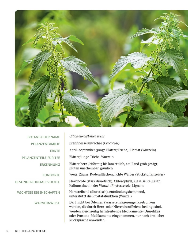 Weitere Ansicht: Die Tee-Apotheke | Axel Gutjahr