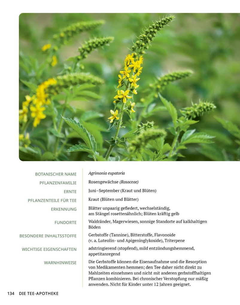 Weitere Ansicht: Die Tee-Apotheke | Axel Gutjahr