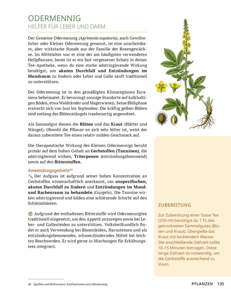 Weitere Ansicht: Die Tee-Apotheke | Axel Gutjahr