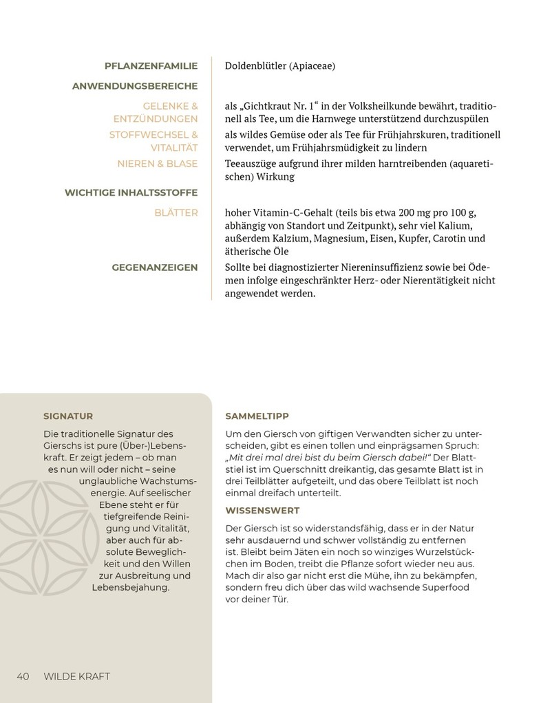 Weitere Ansicht: Wilde Kraft | Denise Felber