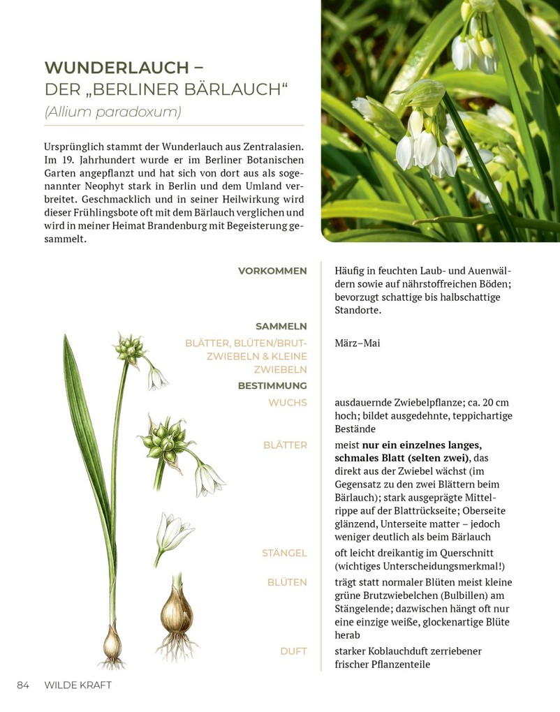 Weitere Ansicht: Wilde Kraft | Denise Felber