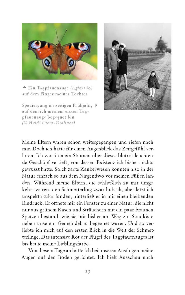 Weitere Ansicht: Die fabelhafte Welt der Schmetterlinge | Marion Jaros