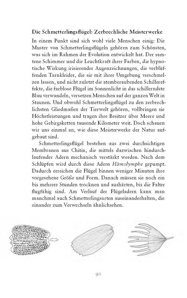 Weitere Ansicht: Die fabelhafte Welt der Schmetterlinge | Marion Jaros