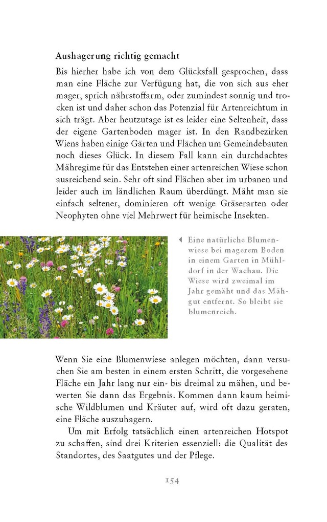 Weitere Ansicht: Die fabelhafte Welt der Schmetterlinge | Marion Jaros